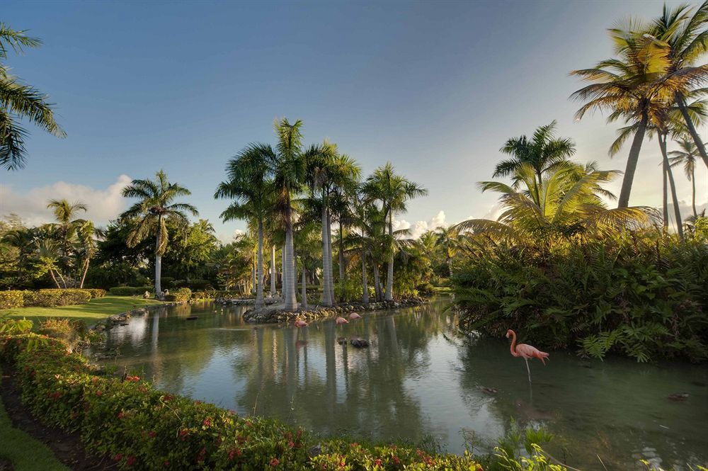 The Level At Melia Caribe Beach (Adults Only) Hotel Punta Cana Exterior photo