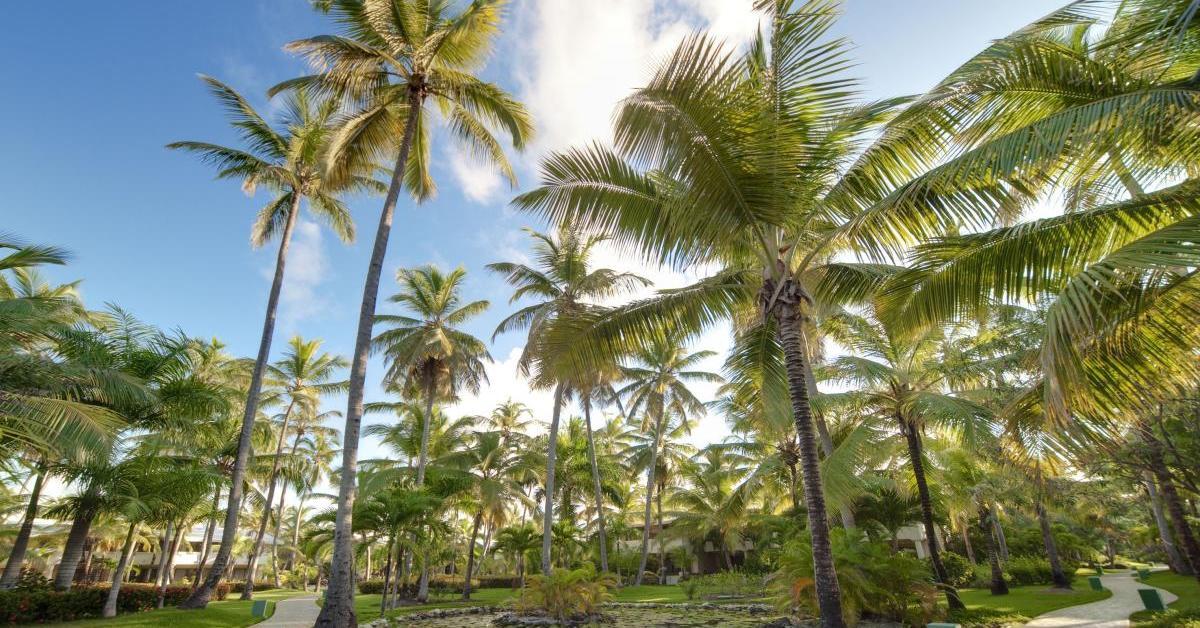 The Level At Melia Caribe Beach (Adults Only) Hotel Punta Cana Exterior photo