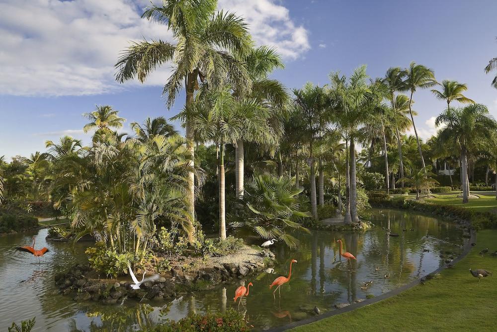 The Level At Melia Caribe Beach (Adults Only) Hotel Punta Cana Exterior photo